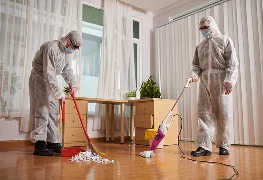 Hoarder Cleaning