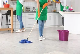 TownHouse Cleaning